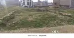 150  GAJ 11000 gaj total RS 1650000