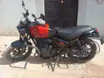 New bike purchase