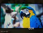 Mint condition 4K UHD 43 inch Smart Tv _ LED with original Remote