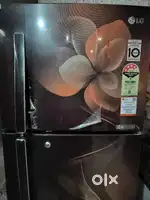 LG  308 litres Double Door fridge with *Glossy Floral Finish* door