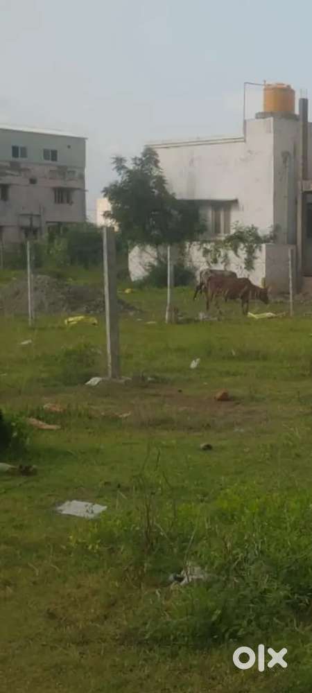 Padappai Approved plot for sale opp to Jamai ice cream