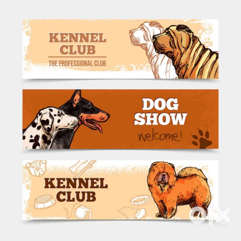 dog kennel mai kam karna ka liya ladka y ladki ki jarurat ha