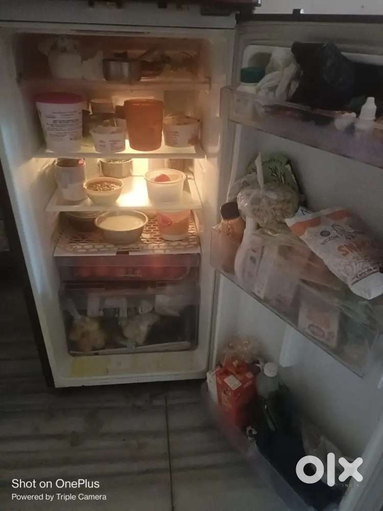 Fridge 238 litre Storage Volume