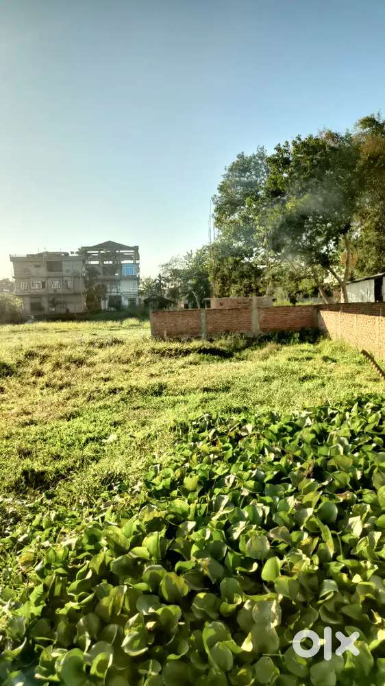 Jorhat Borpoolt bikibole 5 kotha Mati ase per Kotha 18 lakh