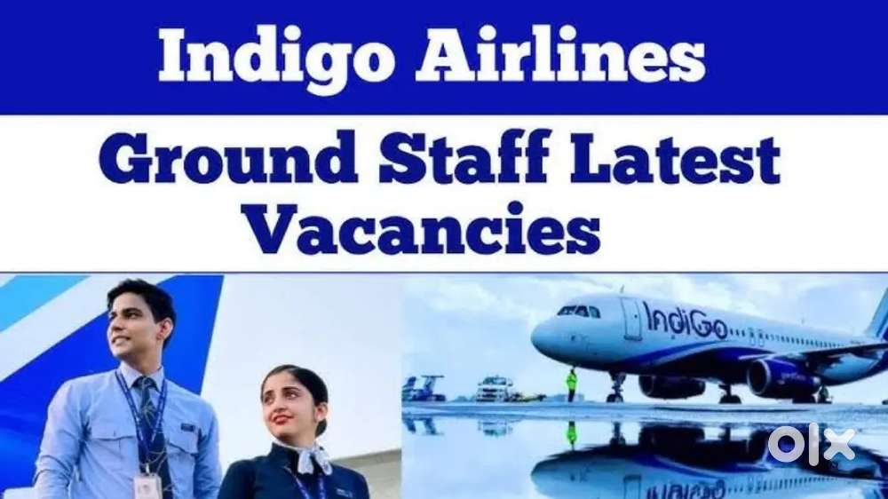 H __ freshers 10th 12th apply