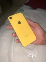 Iphone XR (YELLOW) 256gb