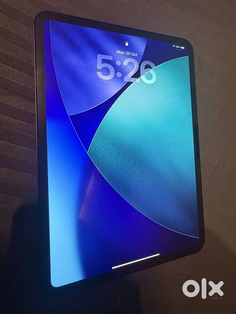 iPad Pro 11-inch M4 256GB Wi-Fi only (Out Of Warranty)