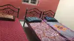 Peace Location, Tasty Food Veg/NonVeg, Mens and Boys PG