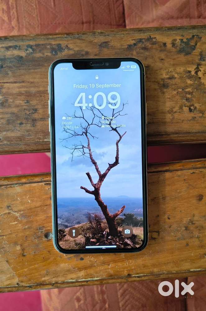 iPhone X 256GB