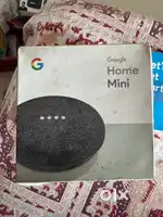 Google Home Mini