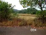Agriculture Land Sale Mangaon Nijampur Road