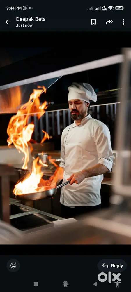 Cook chef provide placement