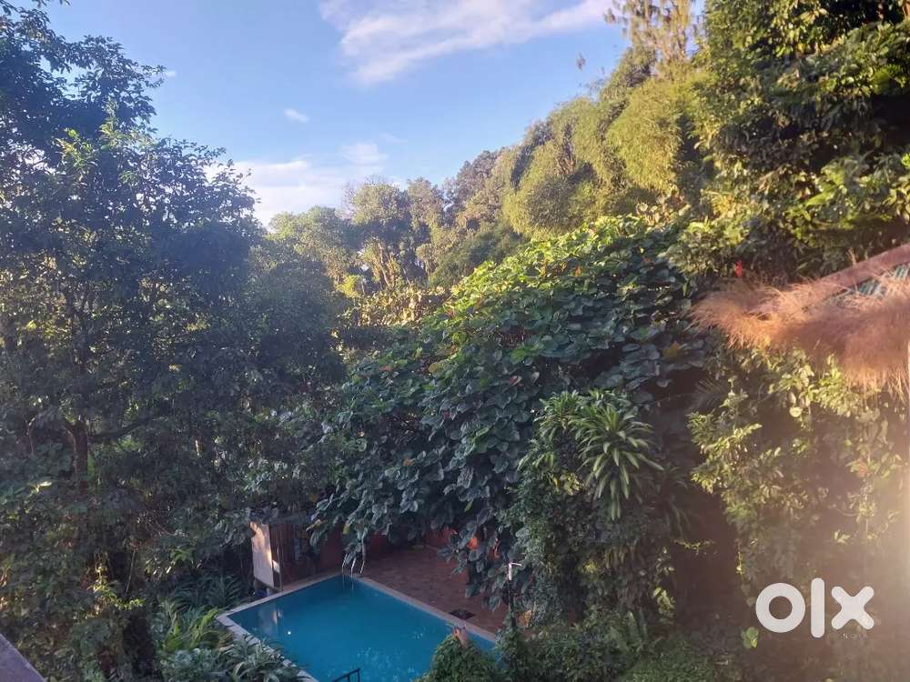 Housekeeping &  F&b Sarvice