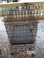 Dog cage available