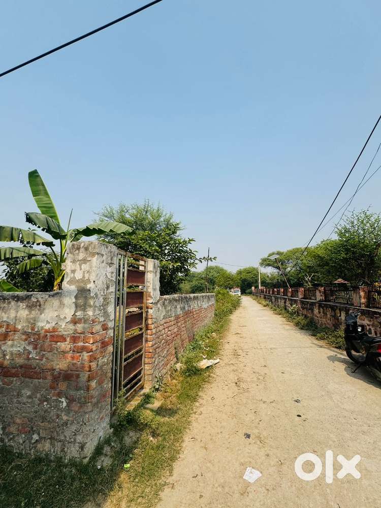 160 sq yd plot available for rent