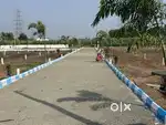 Farmhouse Land for Sale – Green Zone Plot Near Pune