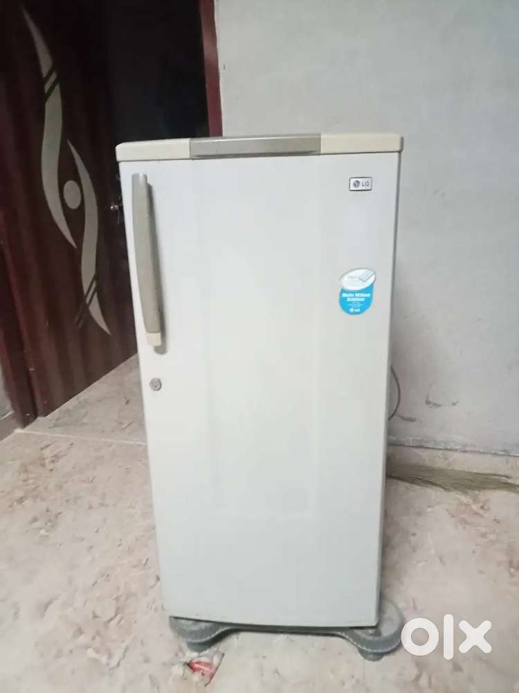 Fridge good and well maintained