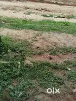 O V vijayan smaraka rood thazarak