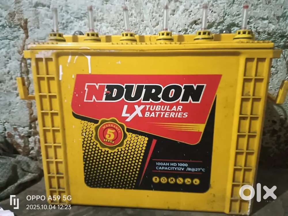 Inverter and inverter battery