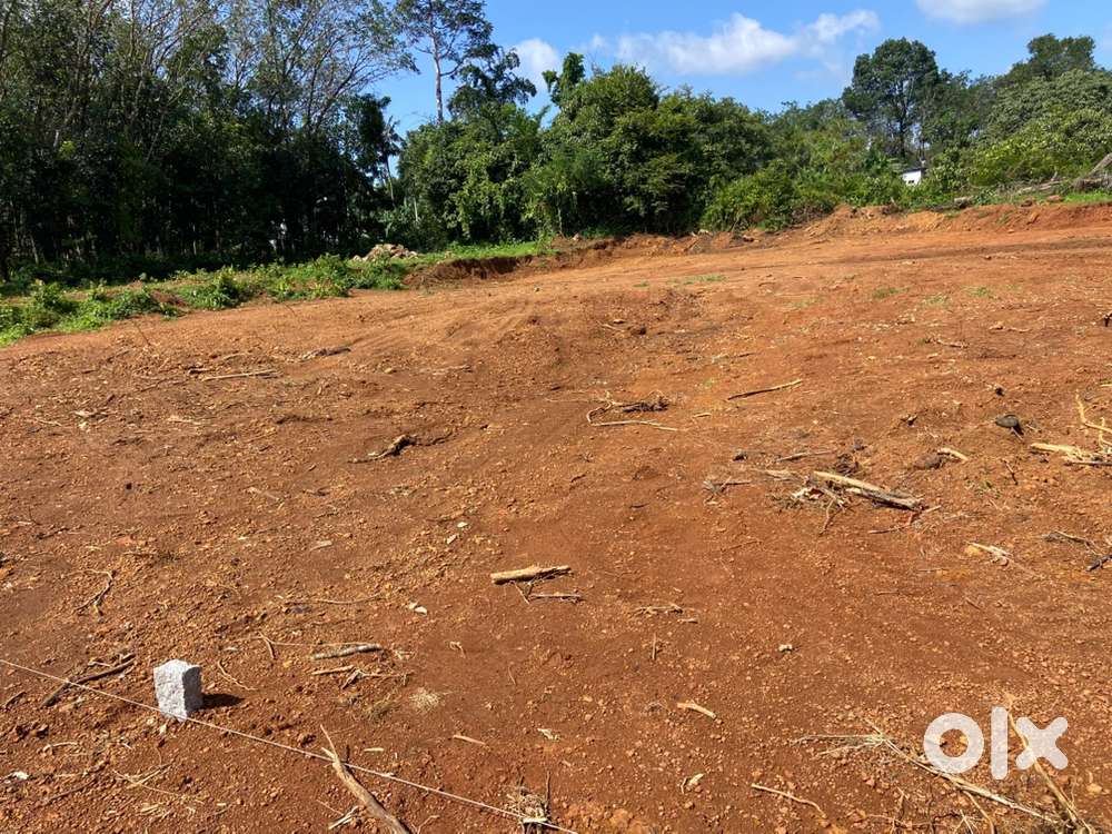 KOTTAYAM.    ATHIRAMPUZHA