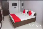 Need a female room mate