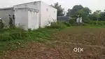 లాండ్ అమ్మబడును