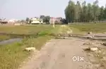dairy ke liye plot dena hai main banwa ke dunga