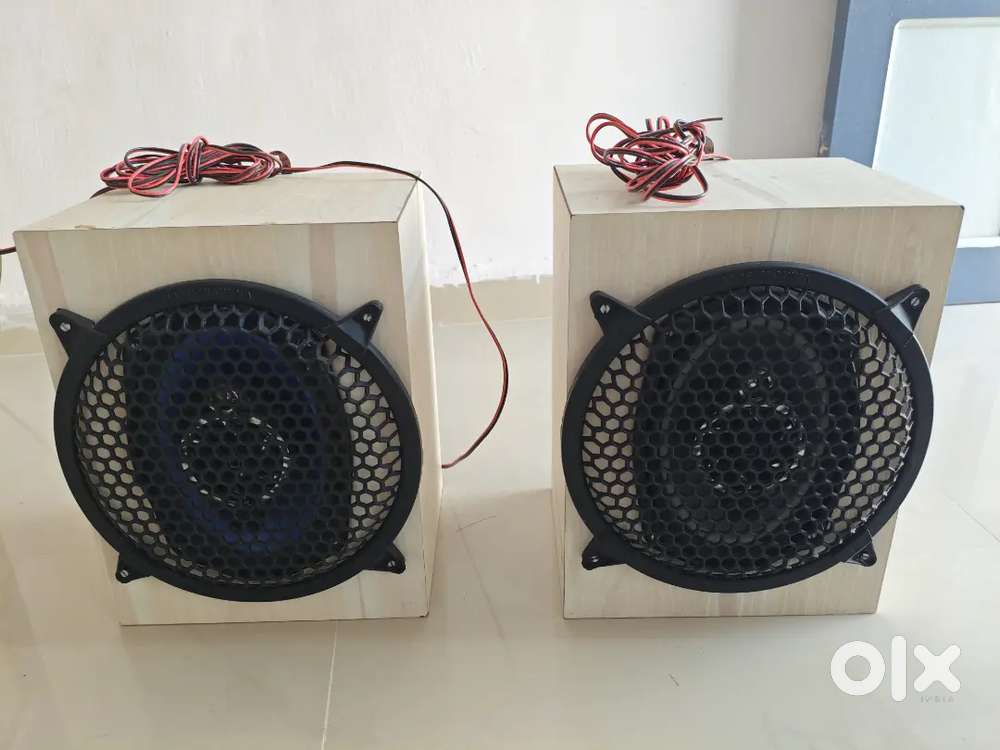 Pioneer Car Peti Speaker