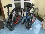 Hornback M1 Full sized foldable Bicycles.