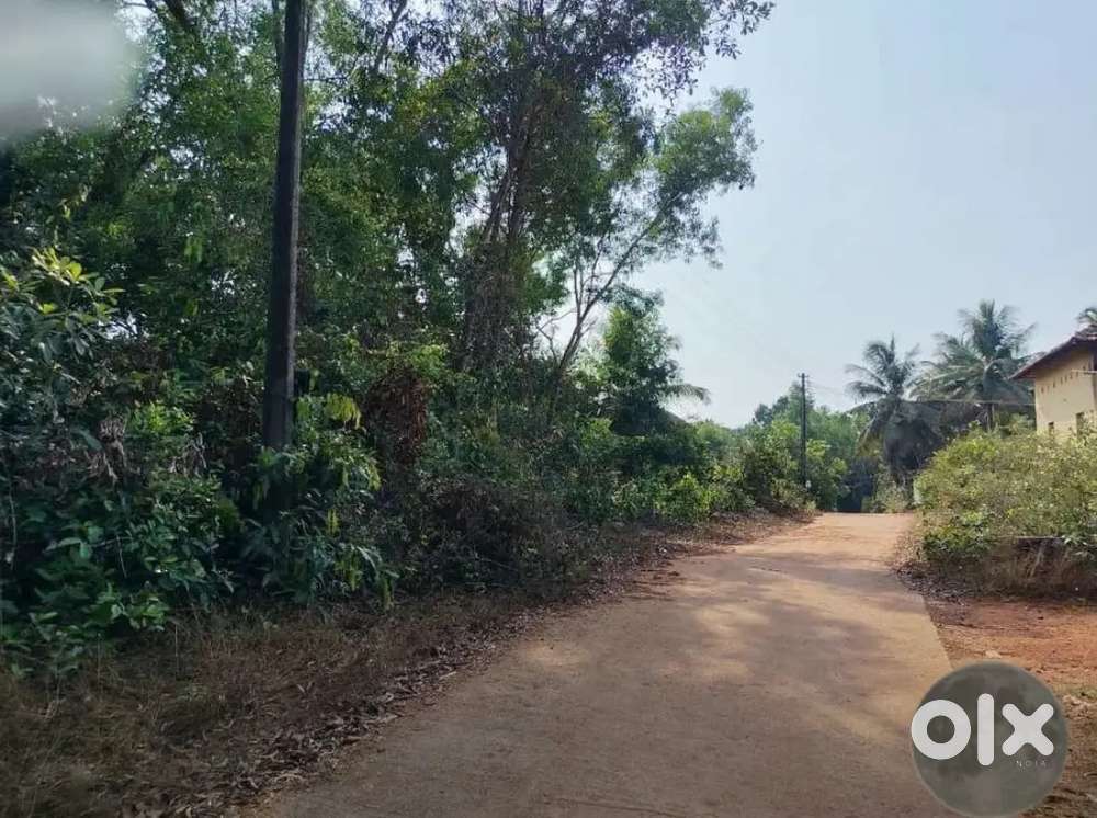 Agriculture Land For Sale