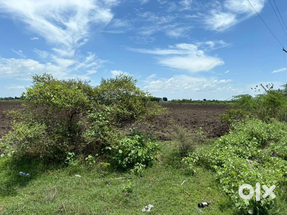 3 acre agricultual land for sale!