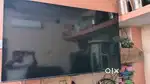 Tcl 65 inch q led