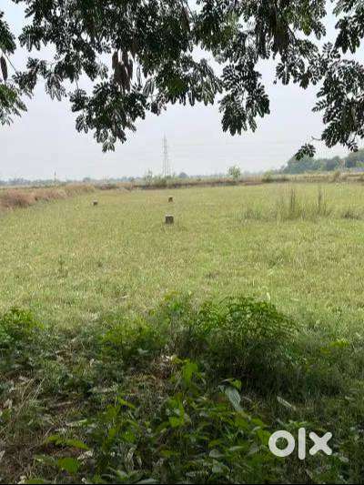 1361 sq ft Own Plot for Sale Near NH-22, Dumri – Clear Title
