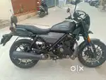 Harley Davidson X440 2024 – Only 7,400 km  Excellent Condition”