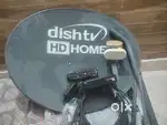 Dish Tv one year old