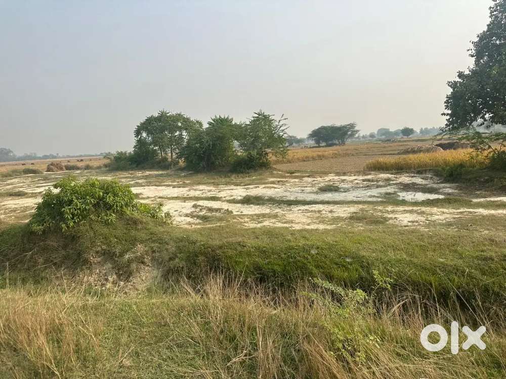 लखनऊ शहर में फार्म हाउस एवं खेती के लिए बीघे मे जमीन खरीदे