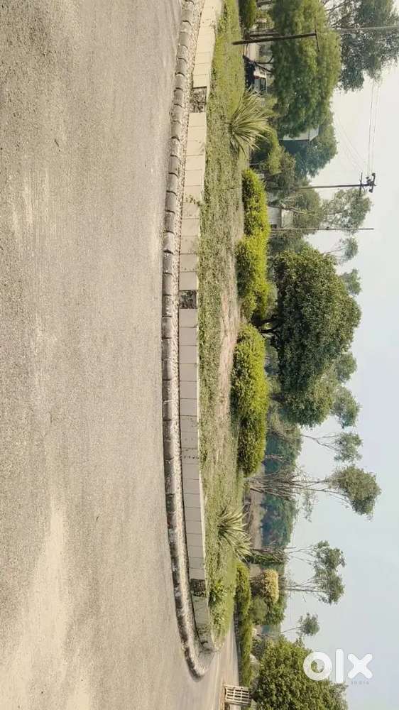 Land for hospital approved by MDA 1000 GAZ