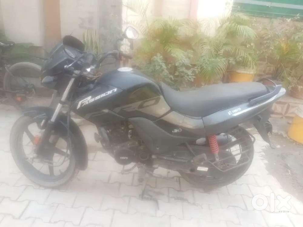 Company -Hero,model-passion pro202