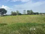 6 lakh Budget Only,Near Gajwel,7 Guntas Agriculture land for sale