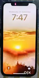 APPLE IPHONE 12
