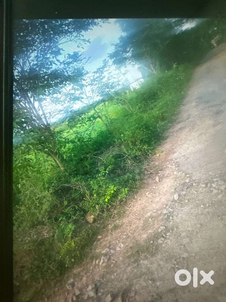 Agriculture land for sale