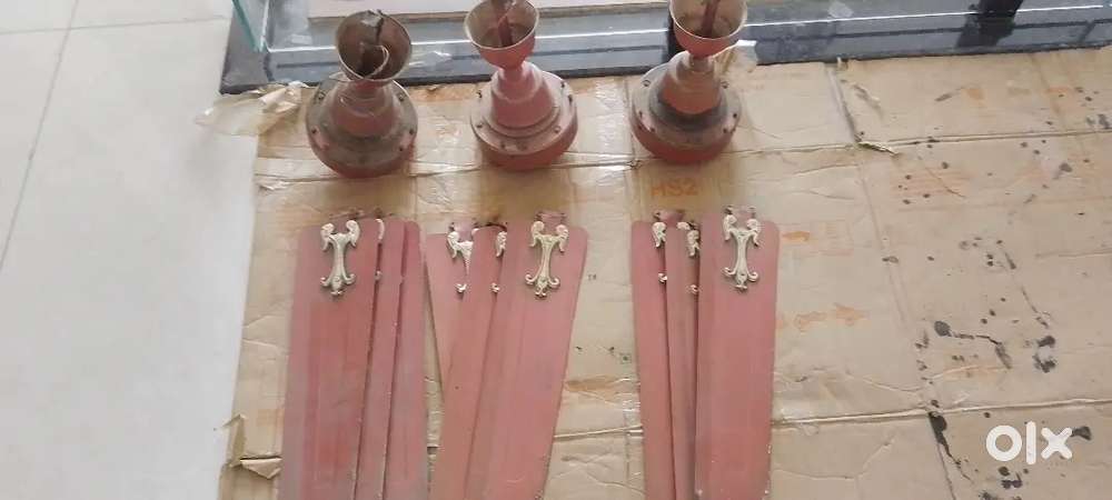 Orient PSPO Celling Fans
