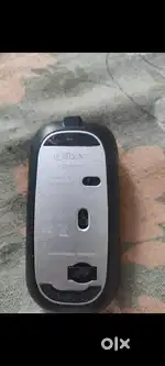 Offbeat mouse