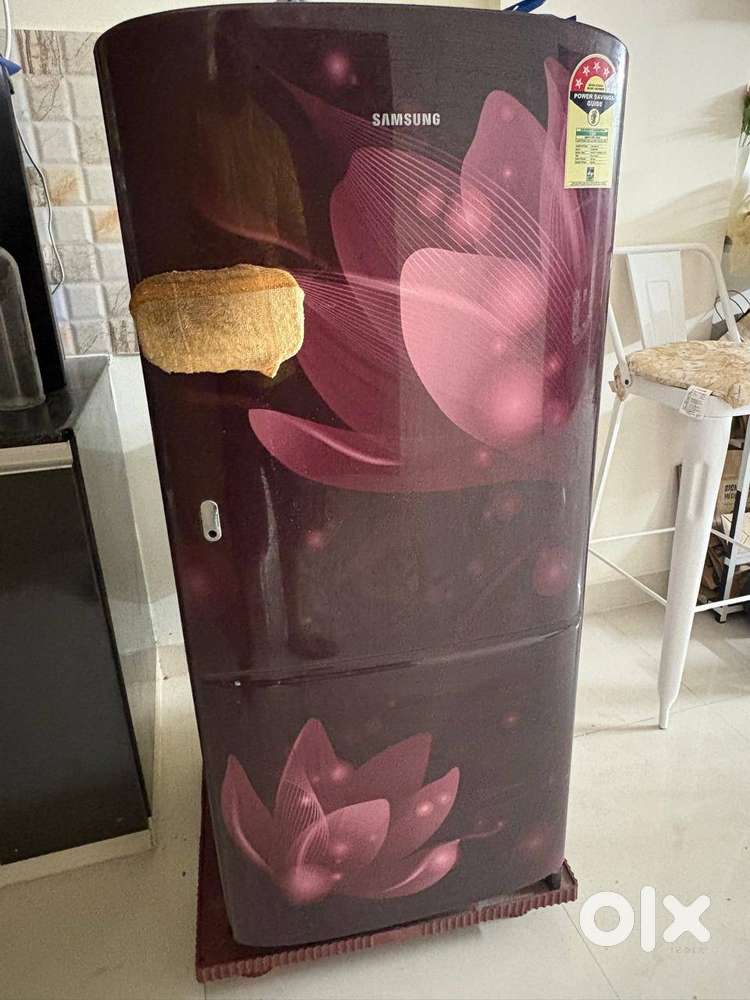 5-year old Samsung 4-Star Refrigerator