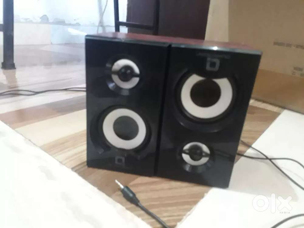 Bired speaker