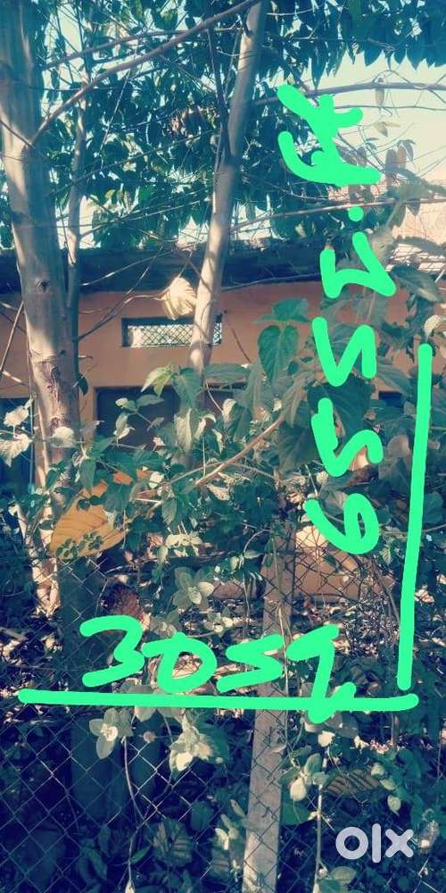 Plot for sale 1950 sq ft behind vandana convent school 58l negotiable