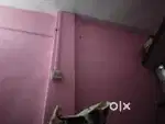 Rooms are available on rent