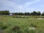 Minjur thiruvellavoyal balaji garden land Sale