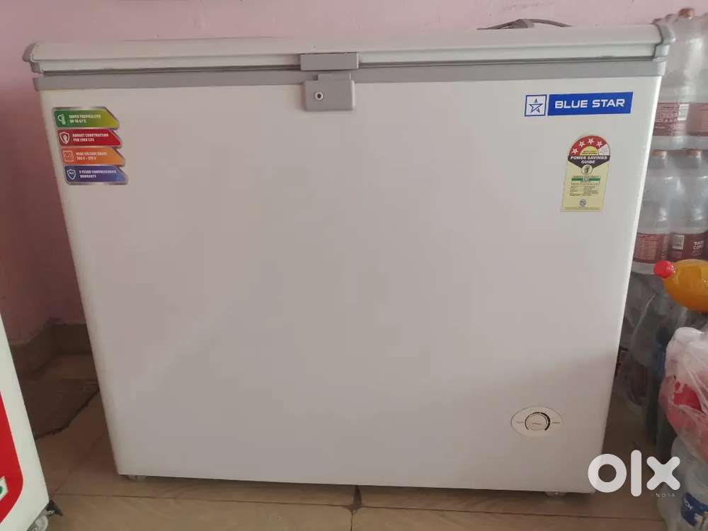 Blue star single door Deep freezer 200 liter