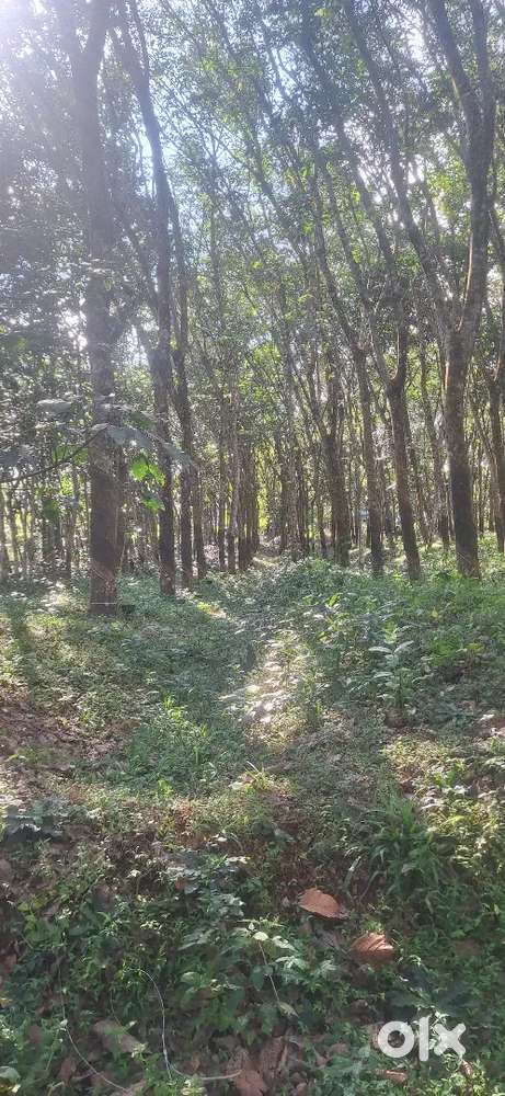 48 cent plot for sale.